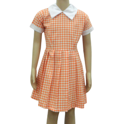 Dress Orange Big Checked White Collar