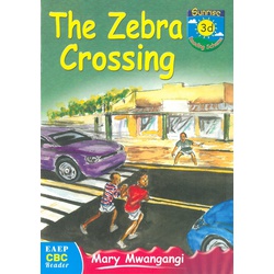 The Zebra Crossing-Sunrise 3d Reading Scheme