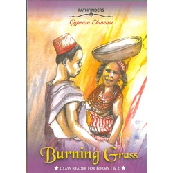 Burning Grass