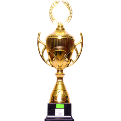 Trophy T11694C