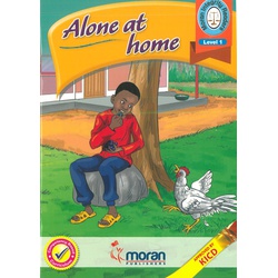 Alone at home