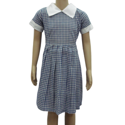 Dress Navy blue Checked White Collar