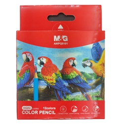 Colour Pencils Half Size 12s-Q5101-M&G