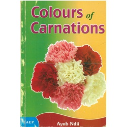 Colour Of Carnations