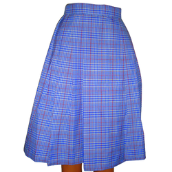Skirt Bedi Light Blue Checked