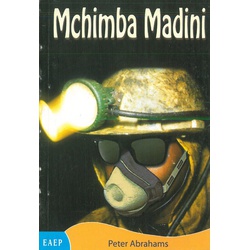 Mchimba Madini