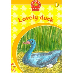 Lovely duck