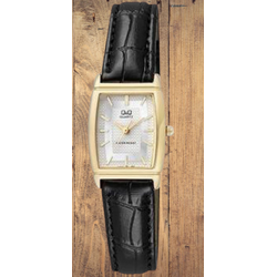 Wrist Watch Q&Q Q881J