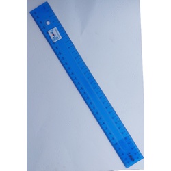 Plastic Ruler 30cm-Bic