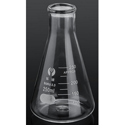 Conical Flask Borosil 250ml