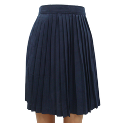 Skirt Navy Blue Machine Pleats