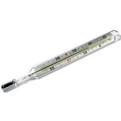 Clinical Thermometer CTH005