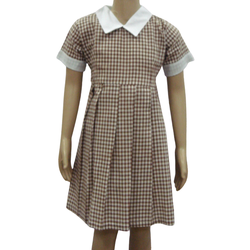 Dress Brown Checked White Collar