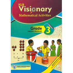 Visionary Mathematics Grade 3