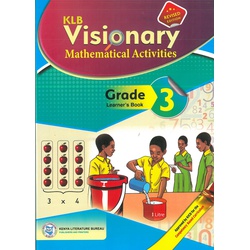 Visionary Mathematical Activities Grade 3-2024